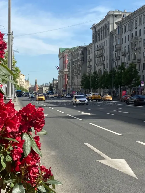 4-комнатная квартира, 96.6 м² - фото 2