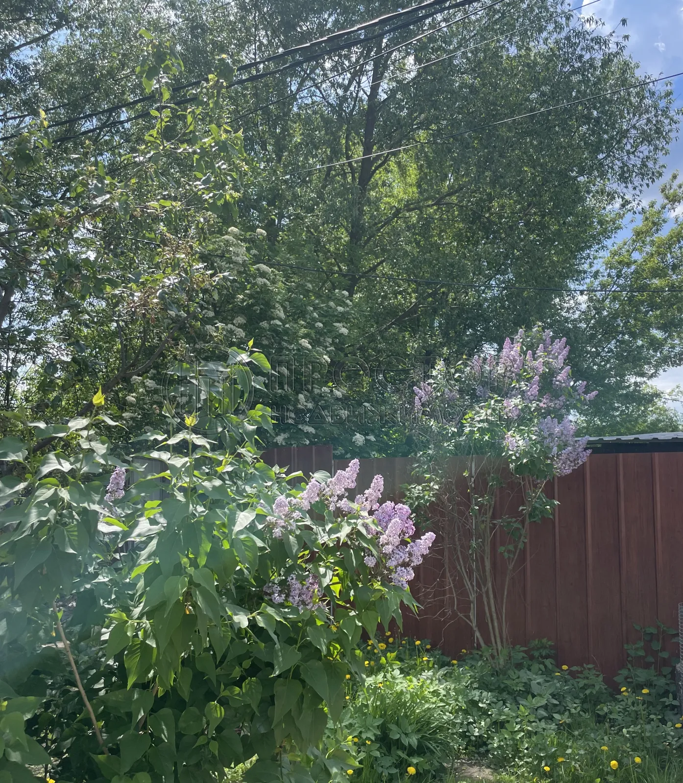 Дом, 112.7 м² - фото 2