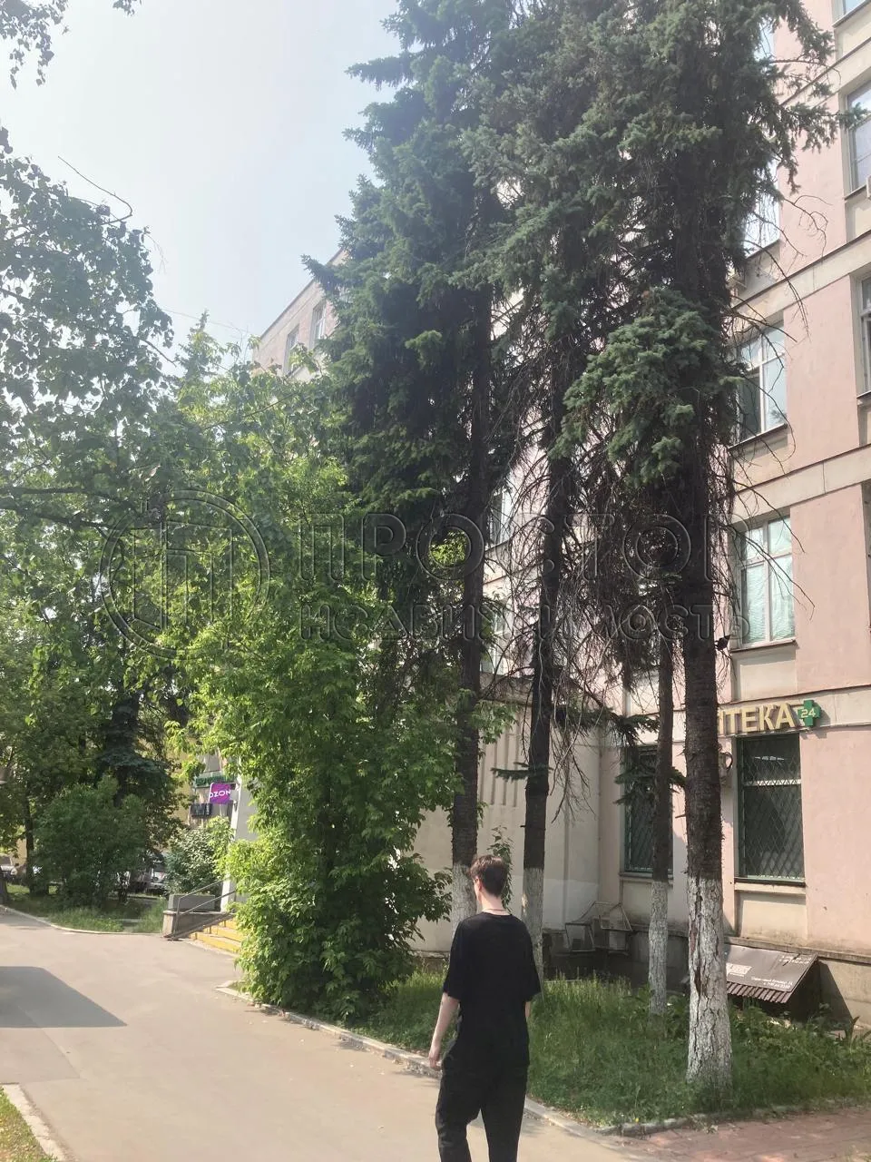 Студия, 14.5 м² - фото 4