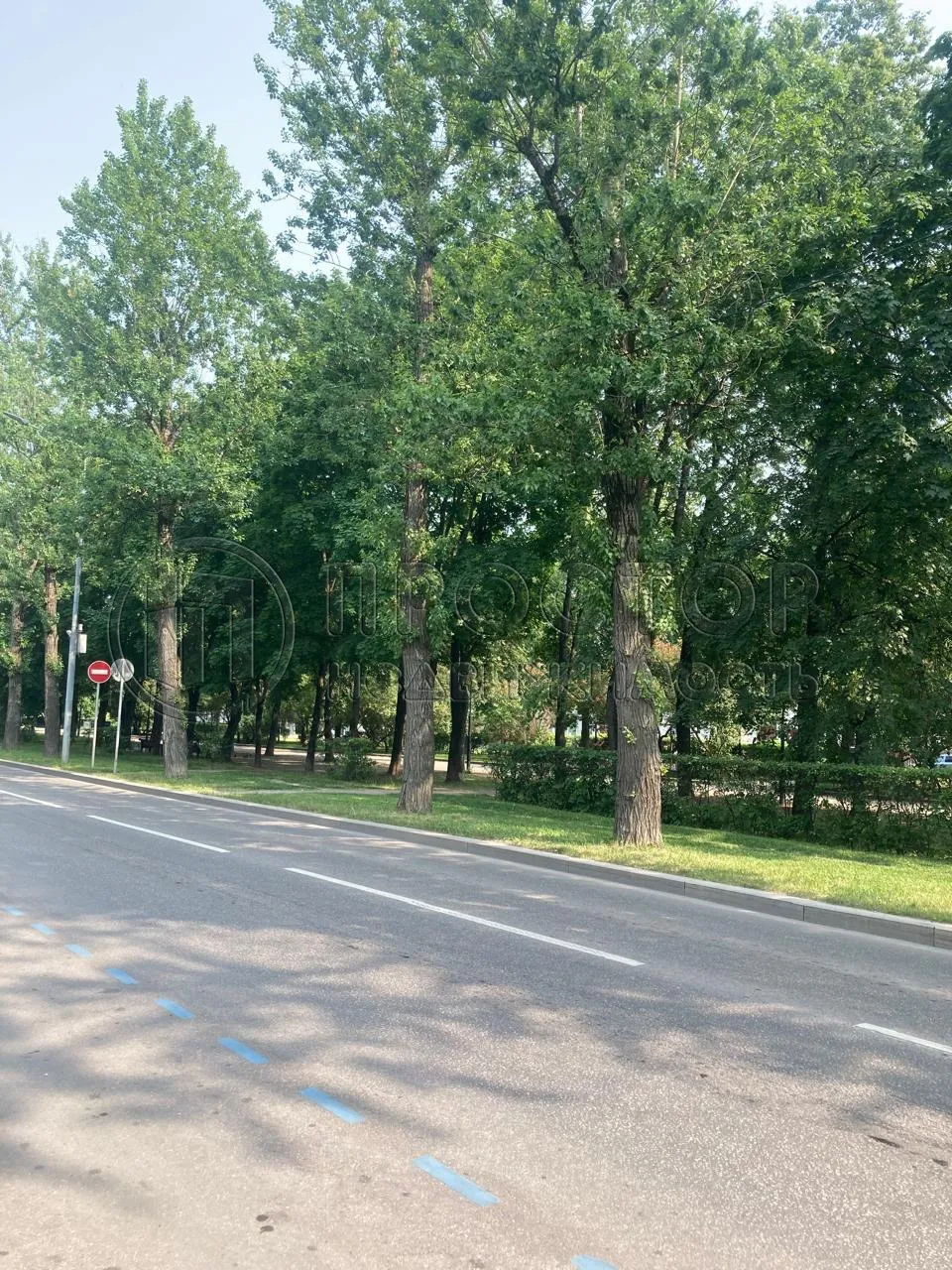 Студия, 14.5 м² - фото 24