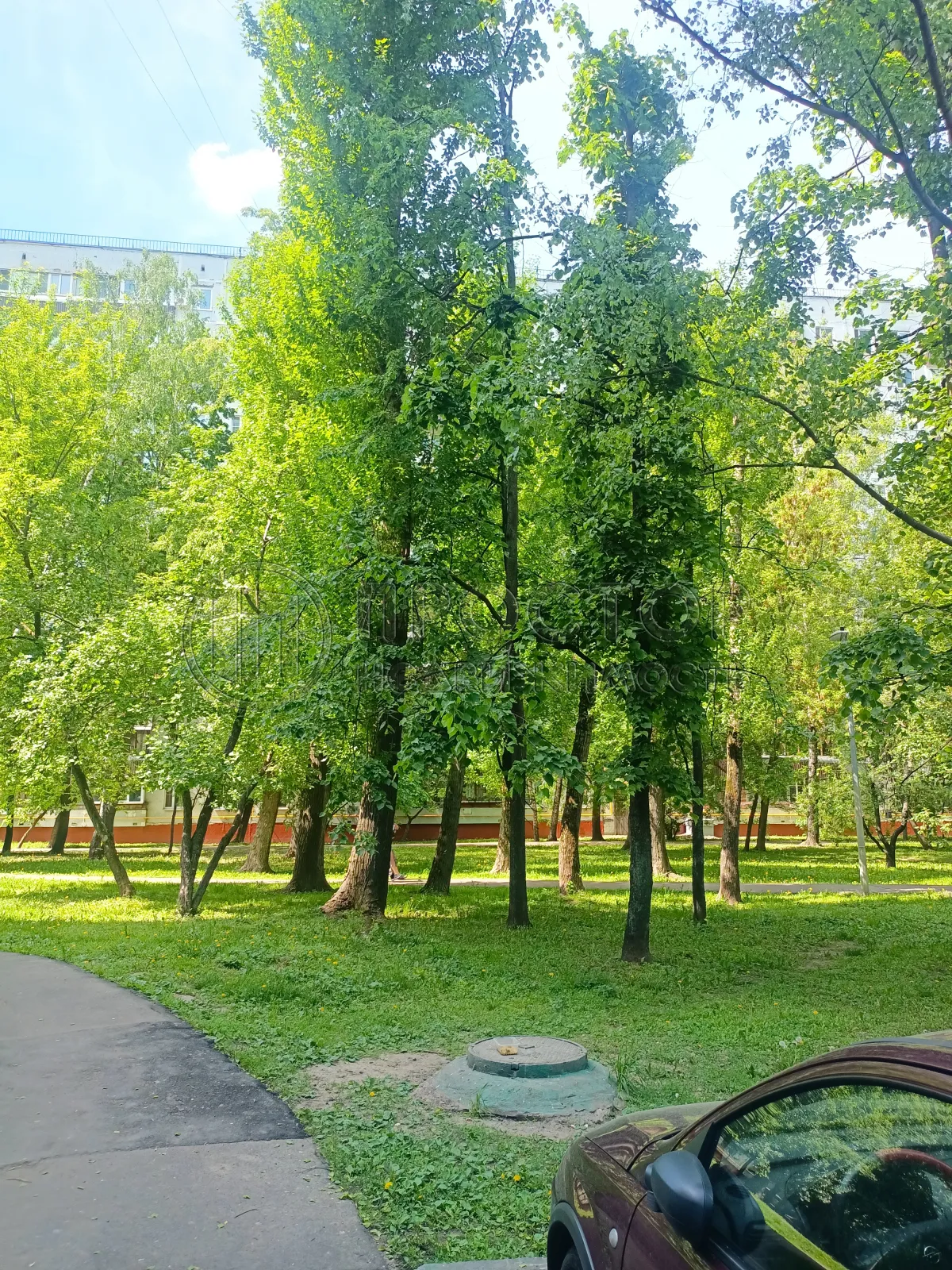 4-комнатная квартира, 63.7 м² - фото 5