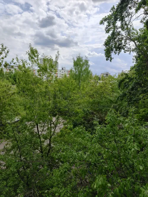 1-комнатная квартира, 33 м² - фото 8