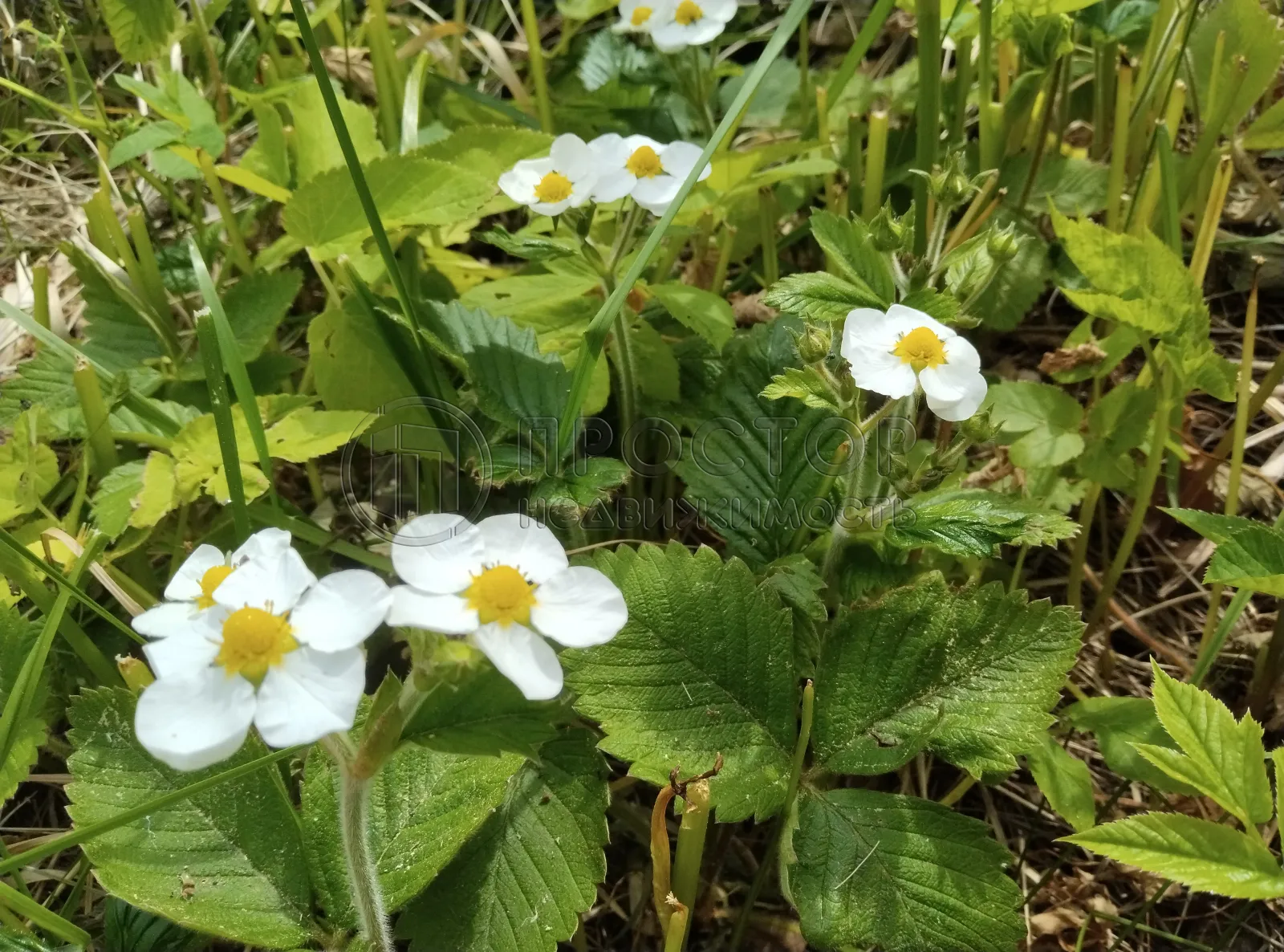 часть дома, 67 м² - фото 3