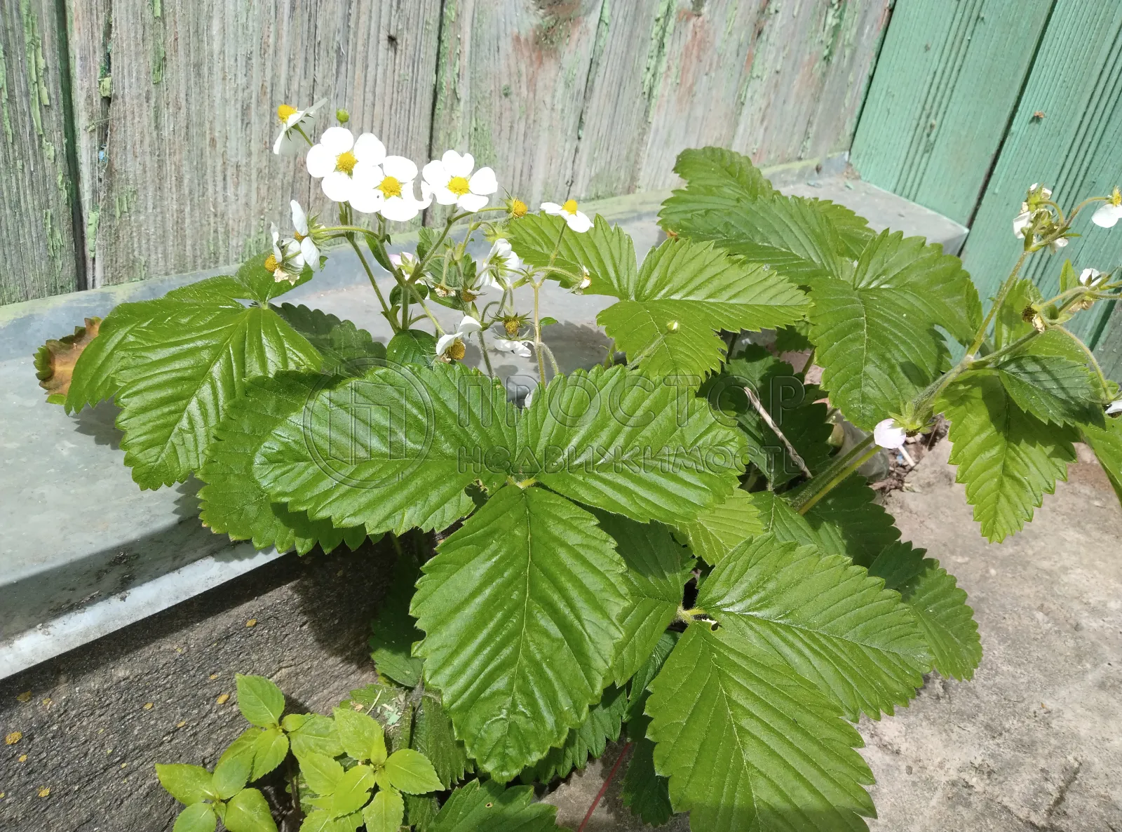 часть дома, 67 м² - фото 14