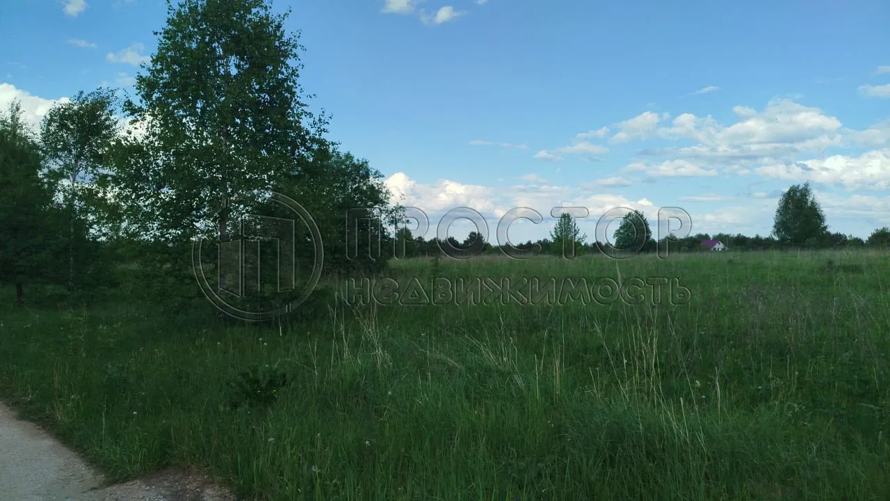 Участок, 100 сот. - фото 3