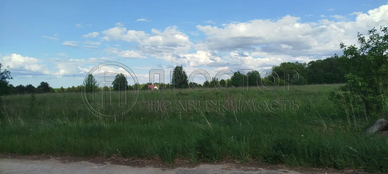 Участок, 100 сот. - фото 7