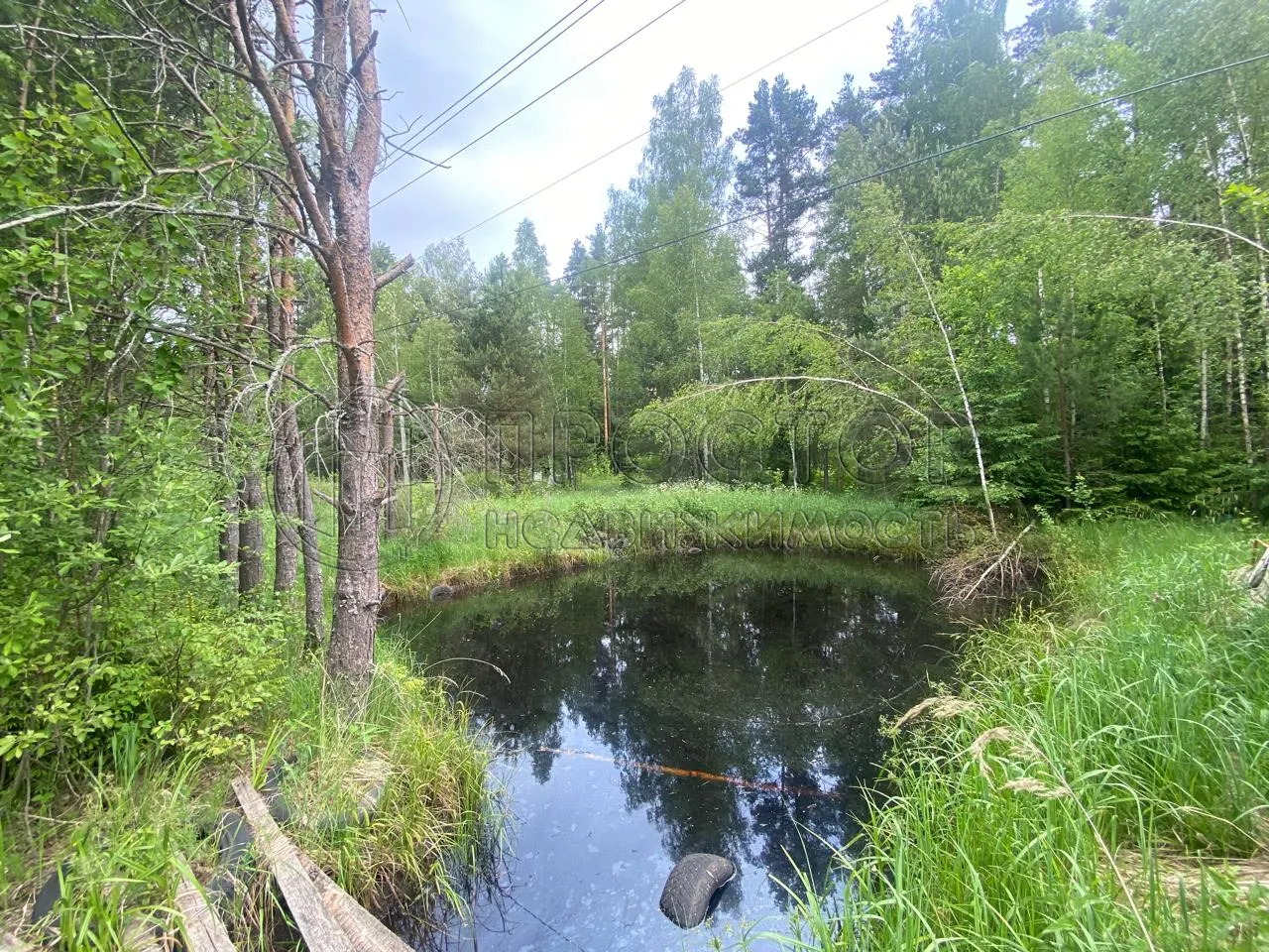 Участок, 100 сот. - фото 3