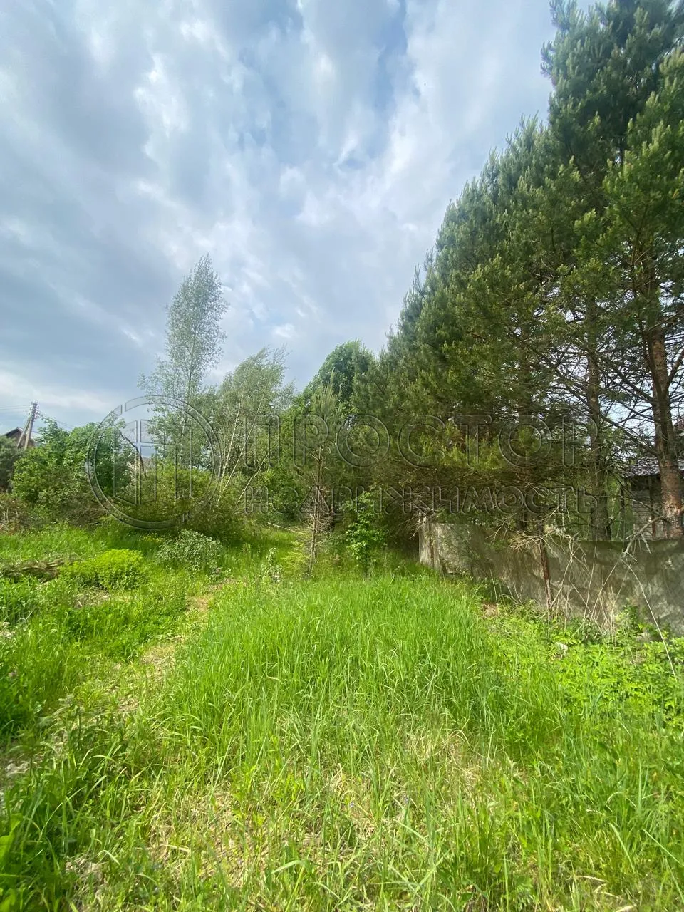 Участок, 100 сот. - фото 5