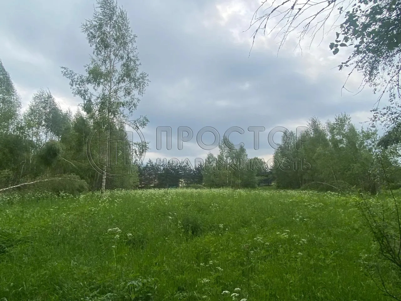 Участок, 100 сот. - фото 6