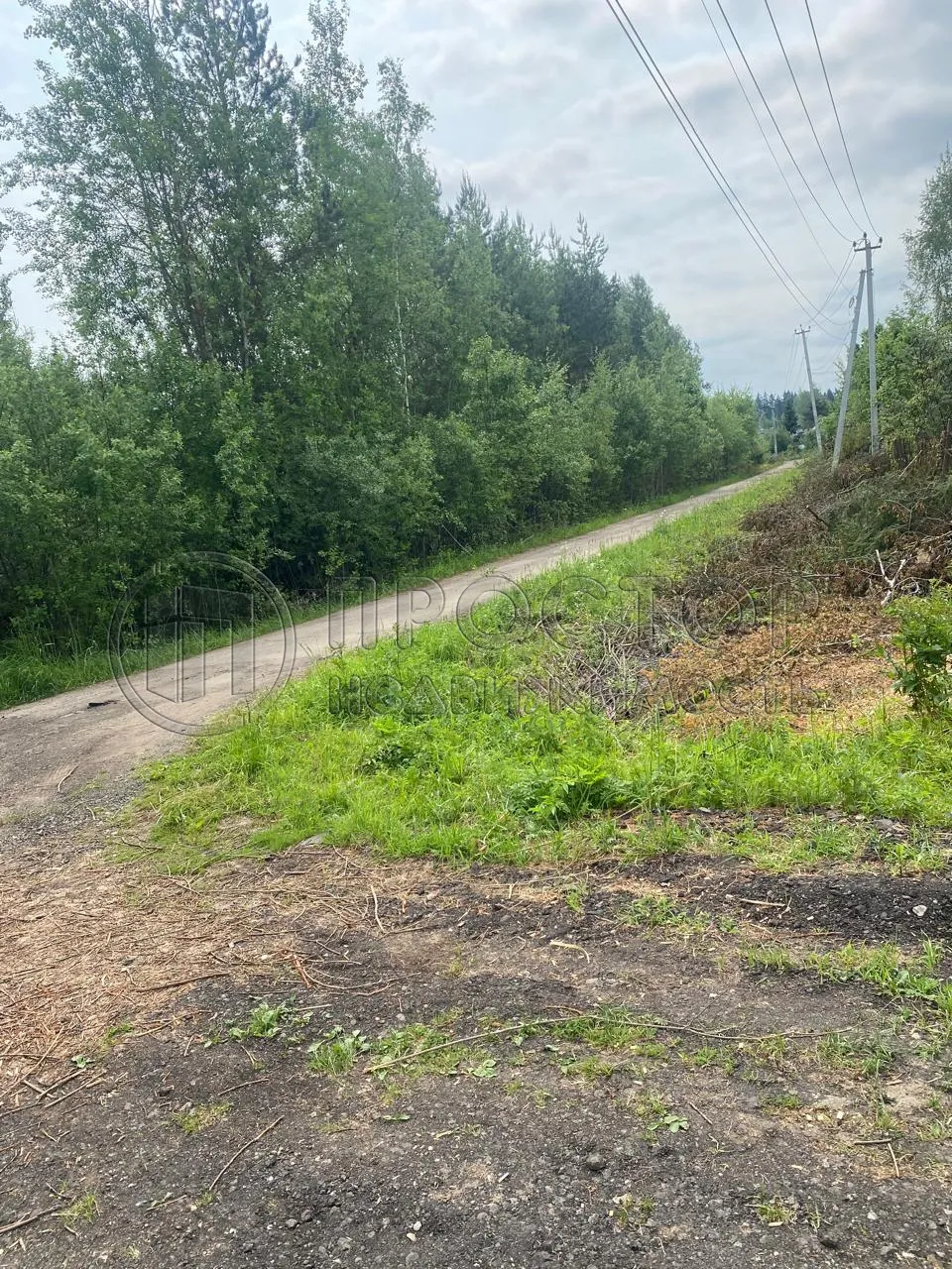 Участок, 100 сот. - фото 8