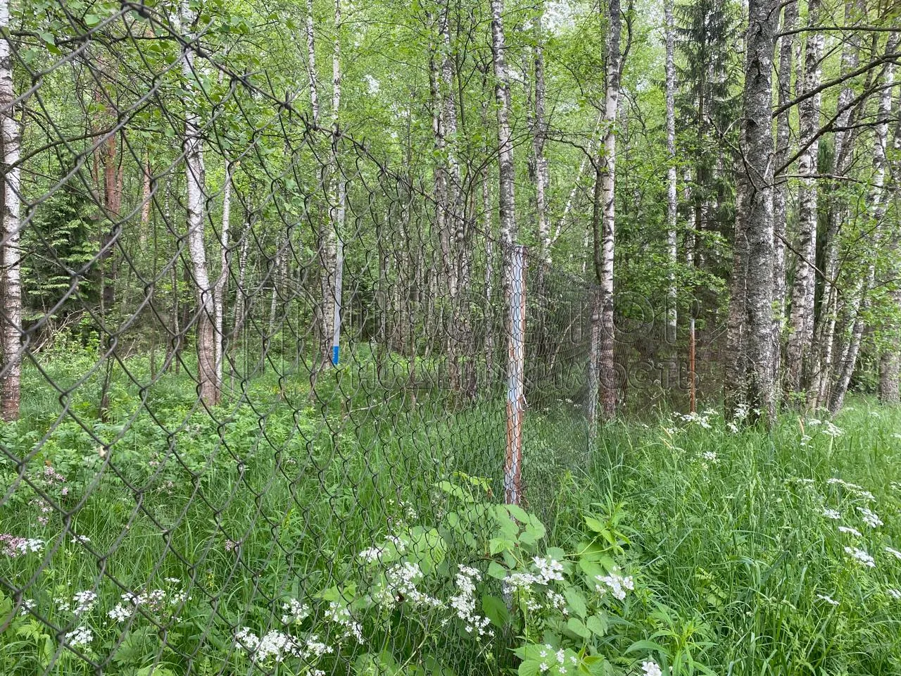 Участок, 100 сот. - фото 9