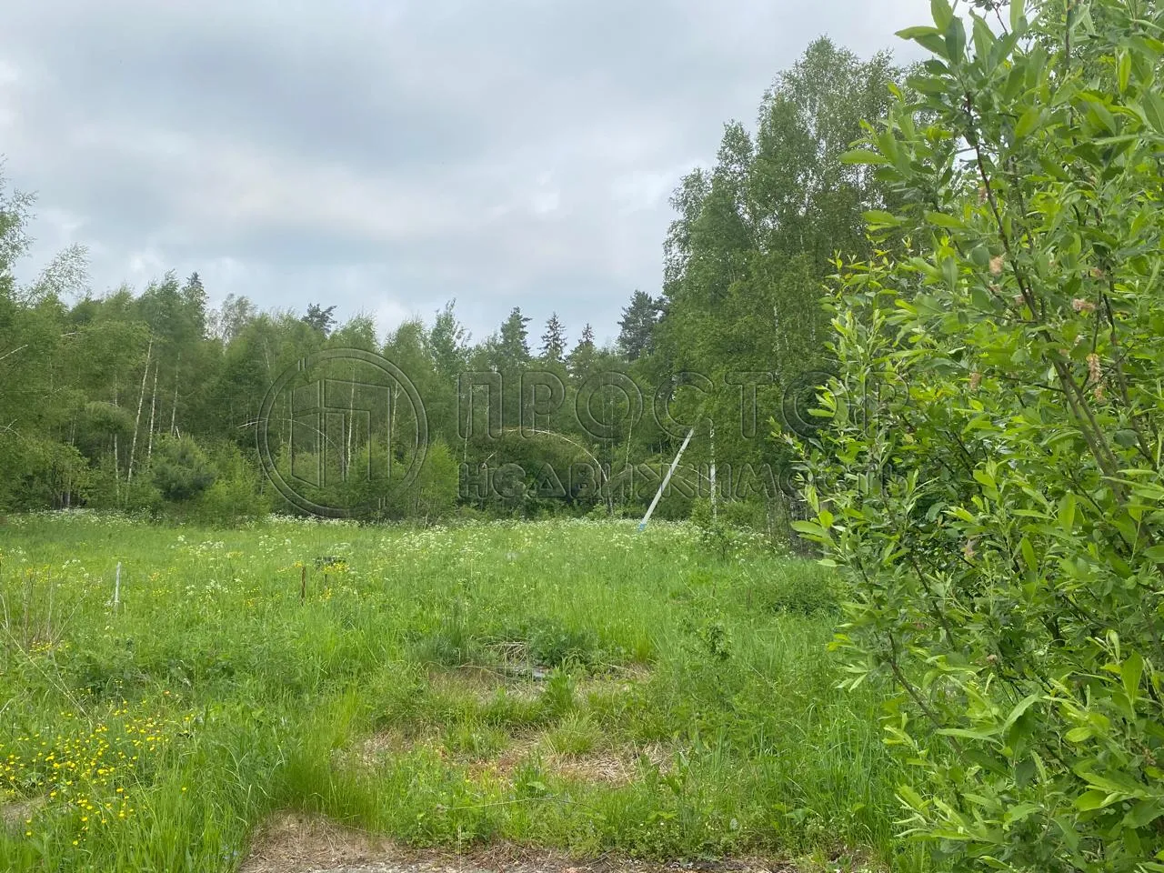 Участок, 100 сот. - фото 10