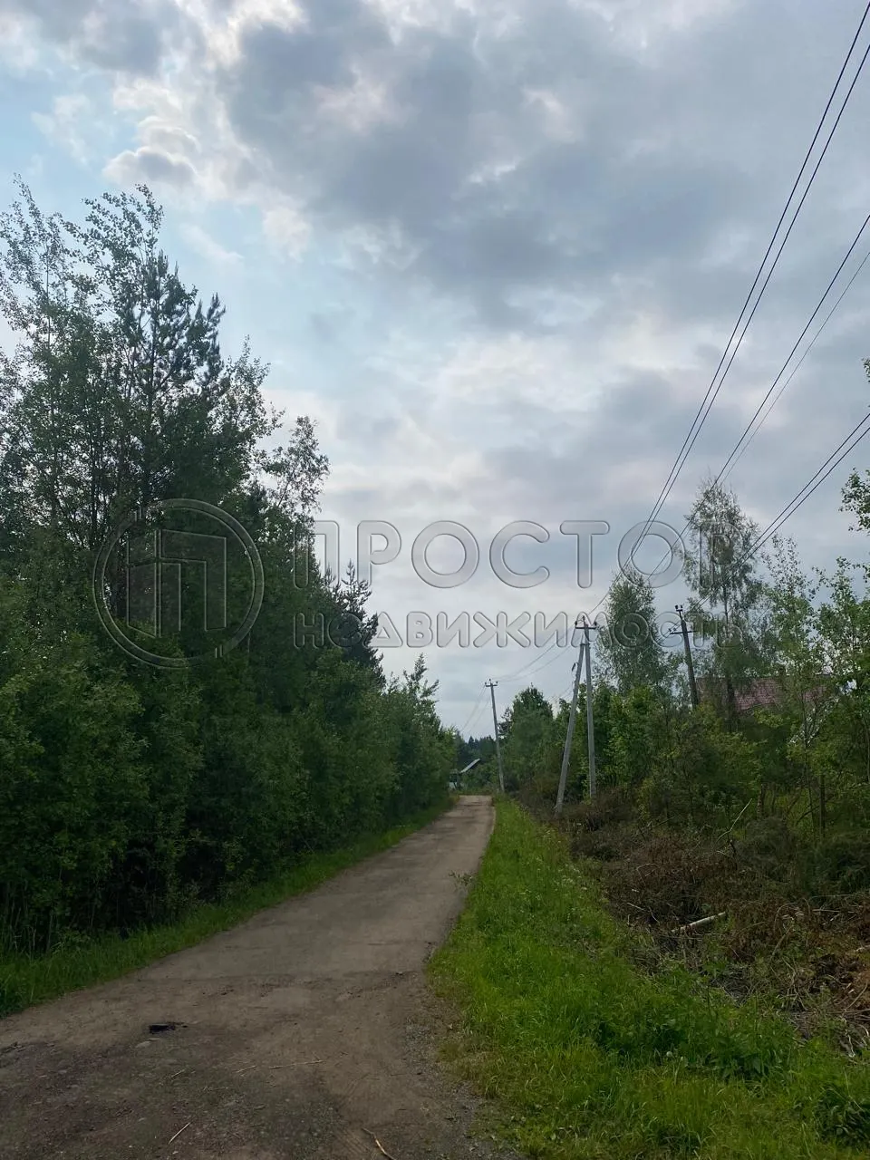 Участок, 100 сот. - фото 11