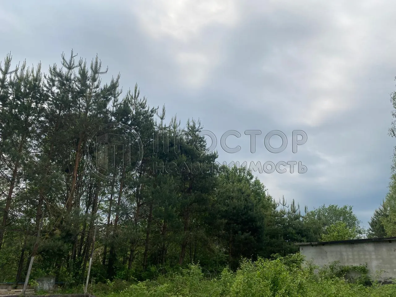 Участок, 100 сот. - фото 13