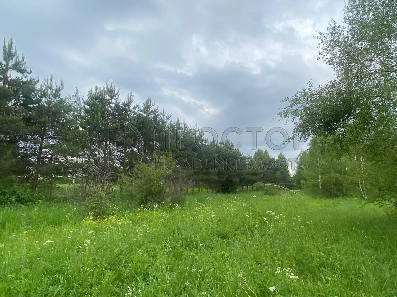 Участок, 100 сот. - фото 14