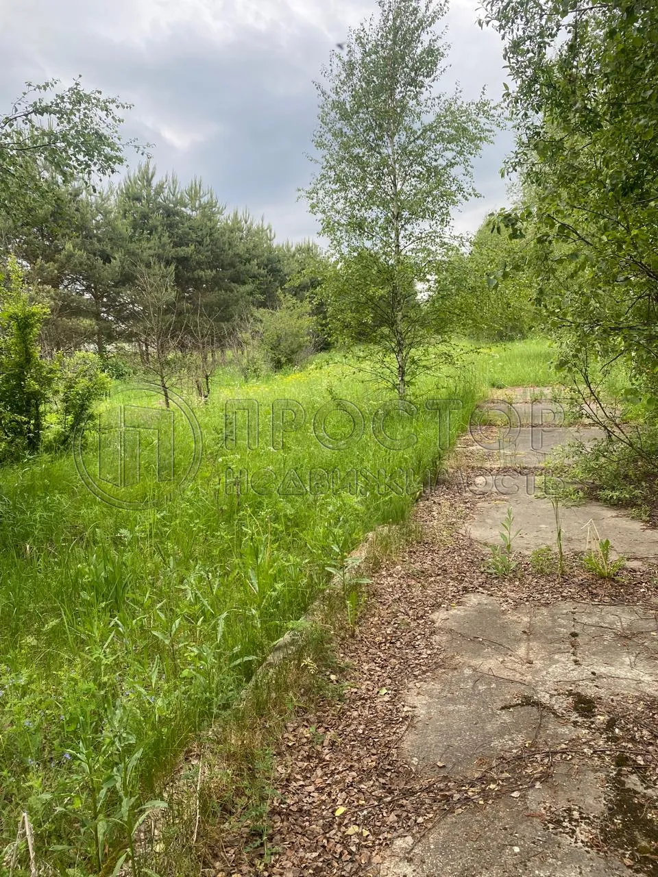 Участок, 100 сот. - фото 15