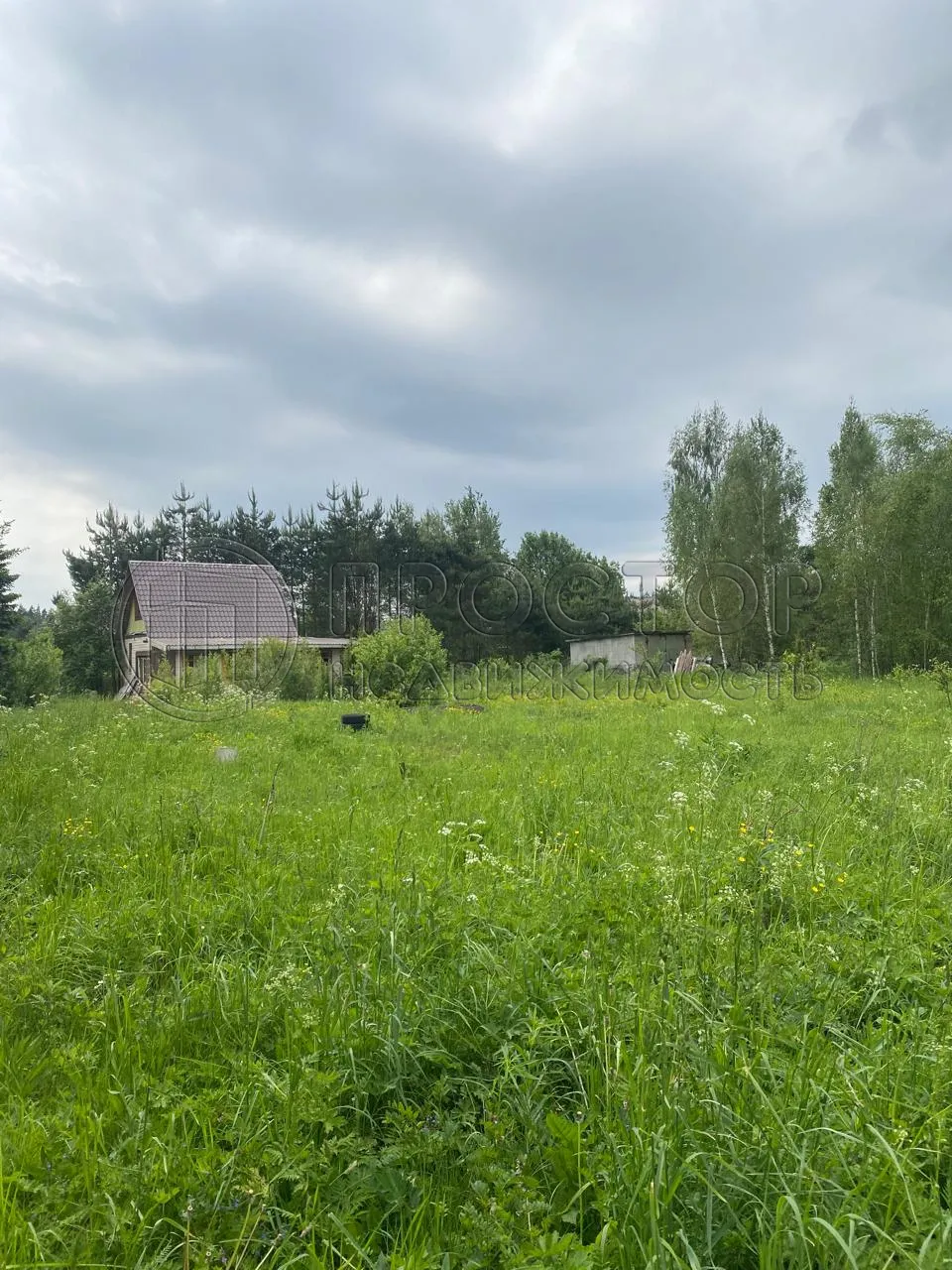 Участок, 100 сот. - фото 20