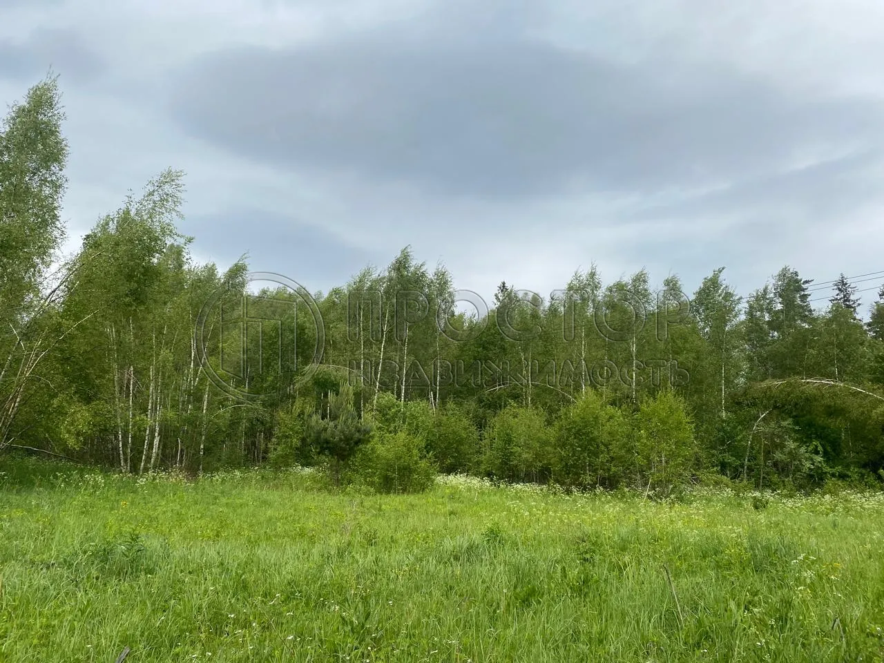 Участок, 100 сот. - фото 21