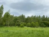 Участок, 100 сот. - фото 39