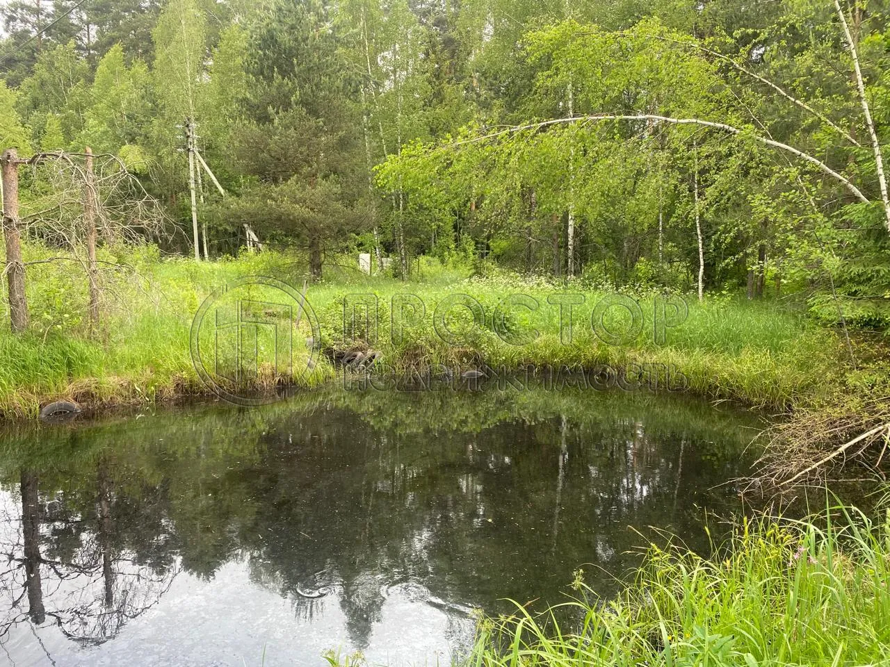 Участок, 100 сот. - фото 22