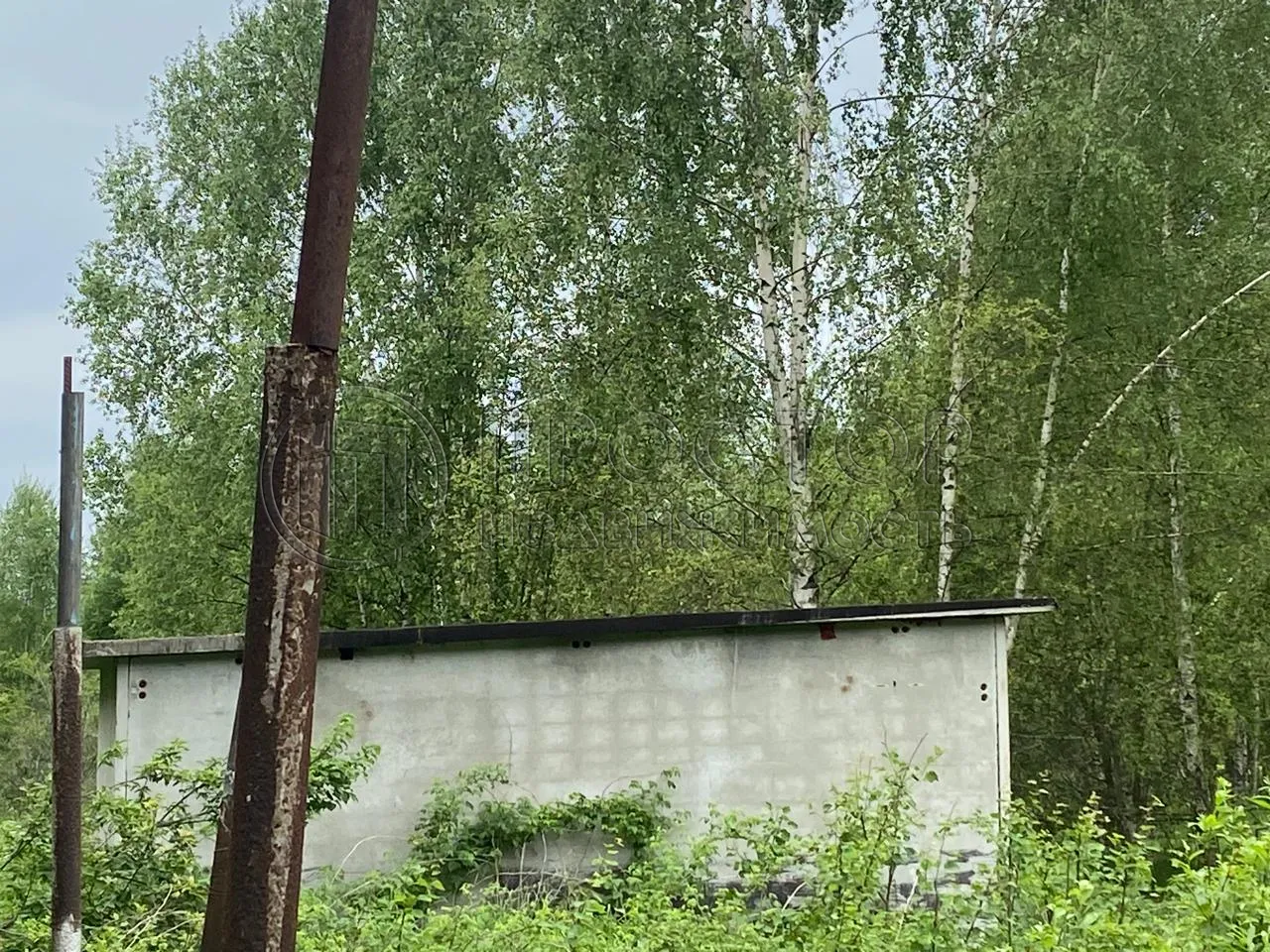 Участок, 100 сот. - фото 25