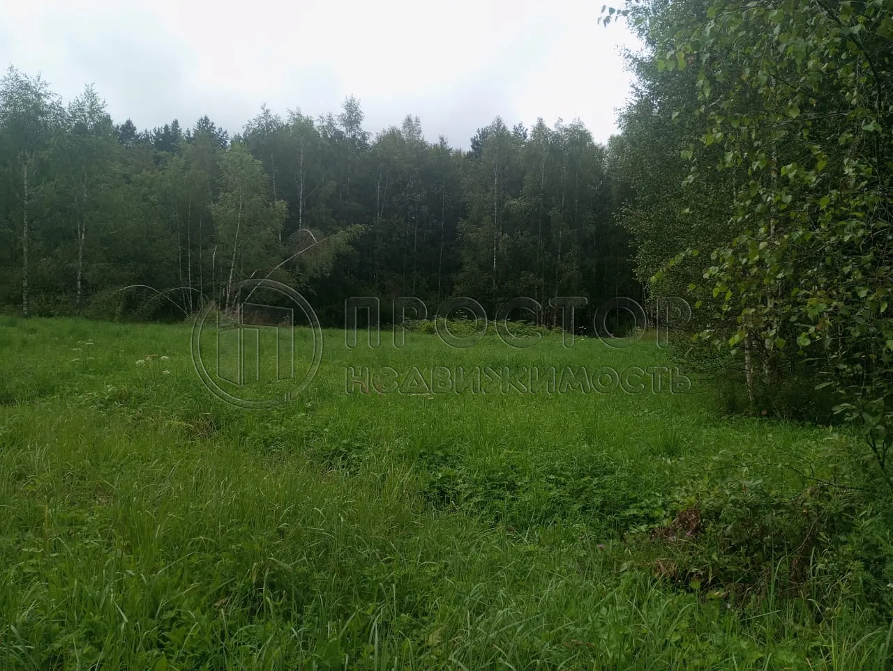 Участок, 100 сот. - фото 2