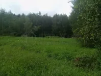 Участок, 100 сот. - фото 26