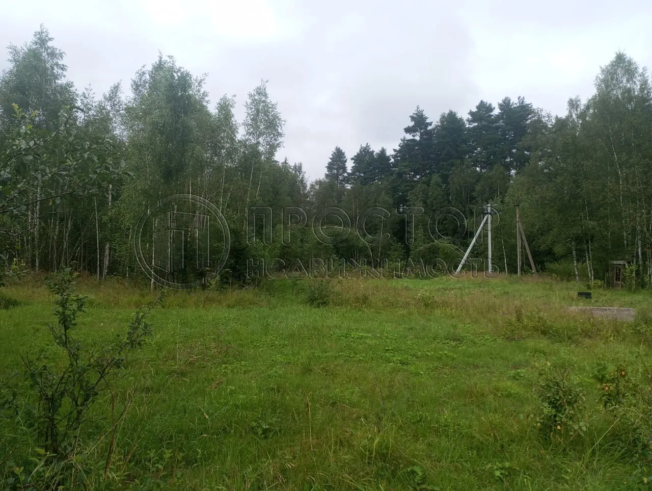 Участок, 100 сот. - фото 4