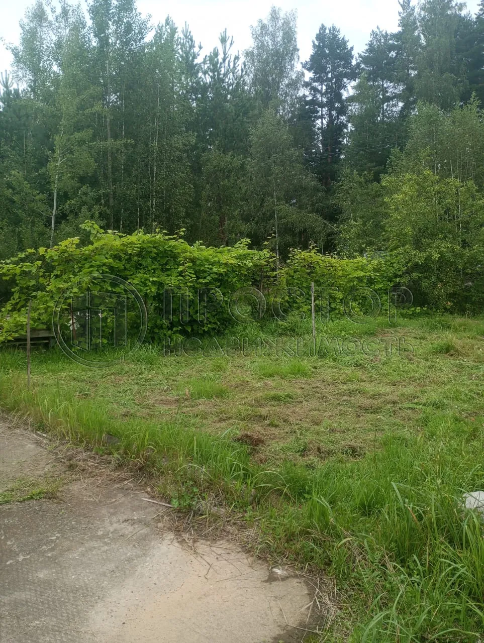 Участок, 100 сот. - фото 7