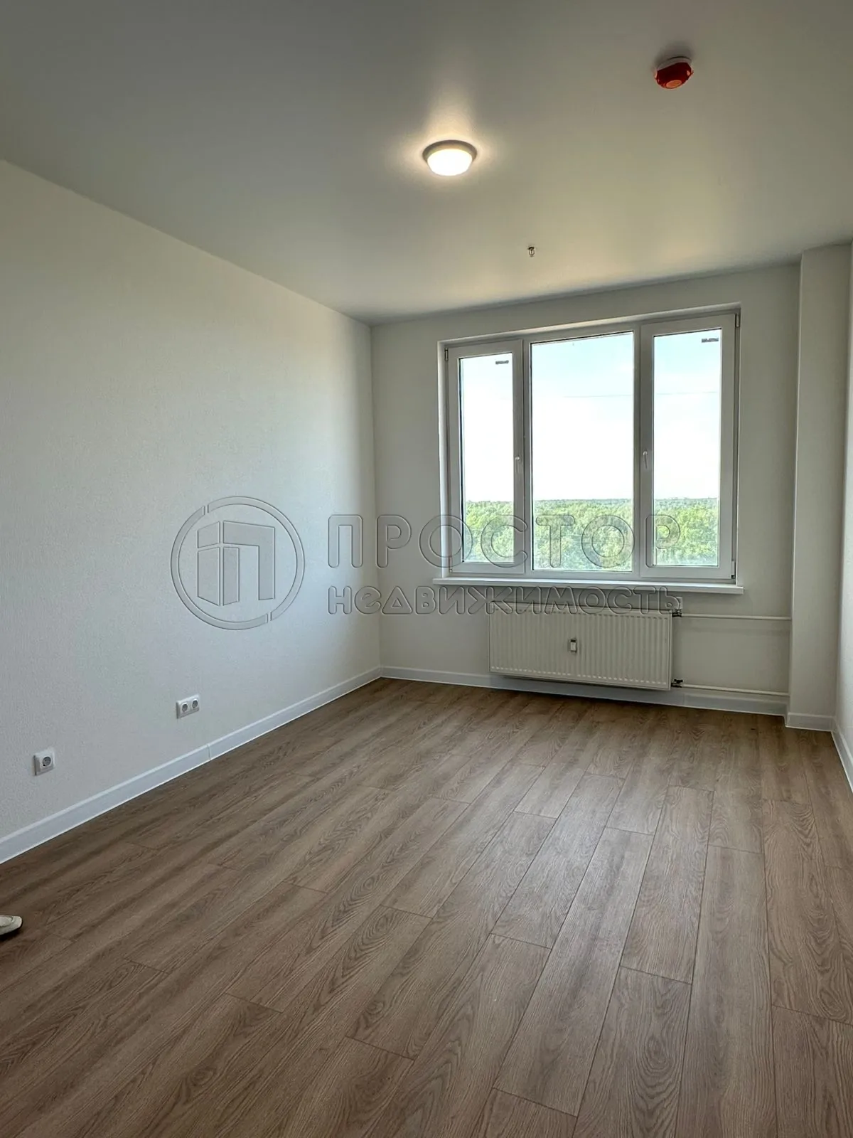 Студия, 20.3 м² - фото 2