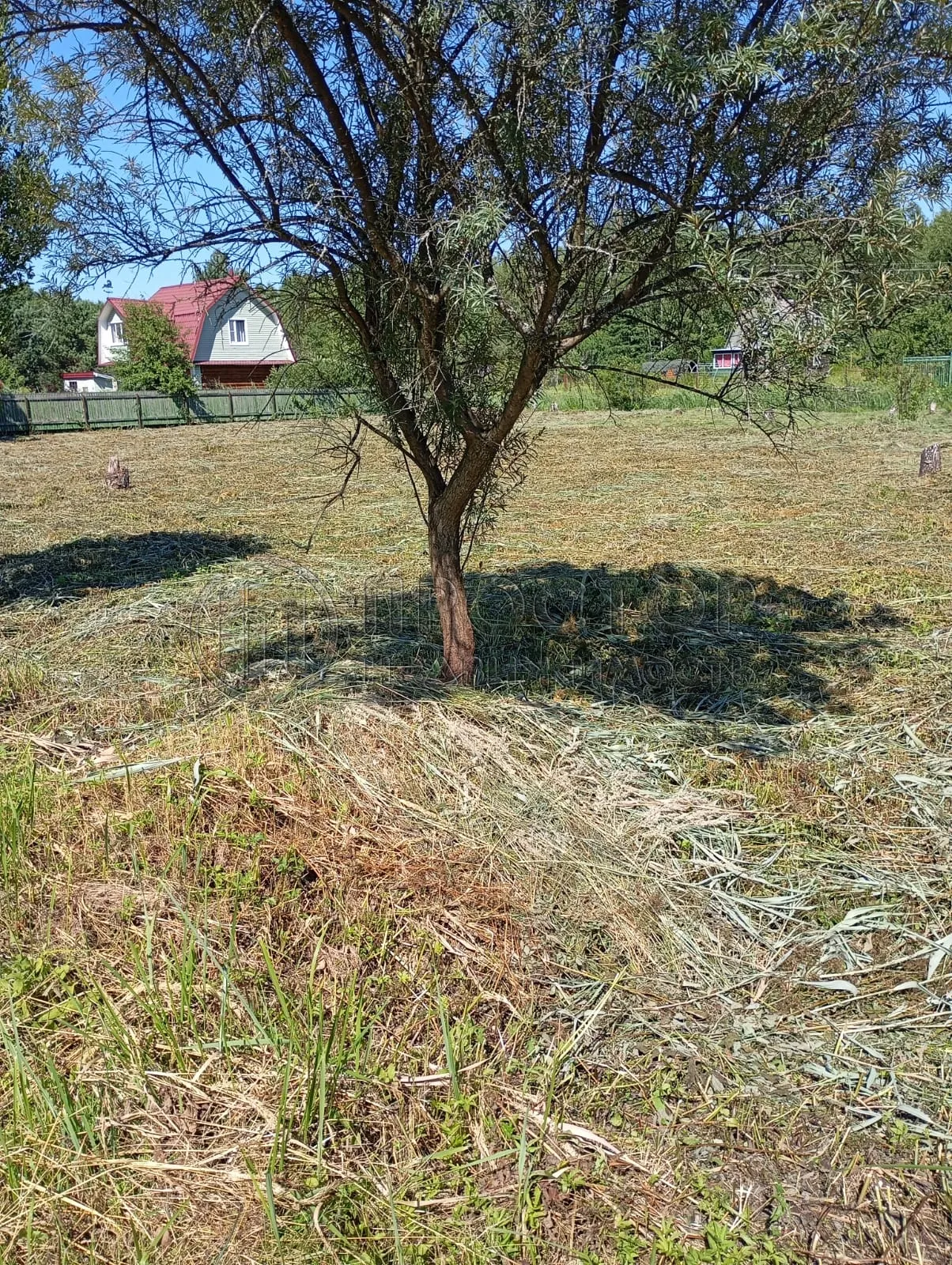 Участок, 10 сот. - фото 3