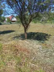 Участок, 10 сот. - фото 6
