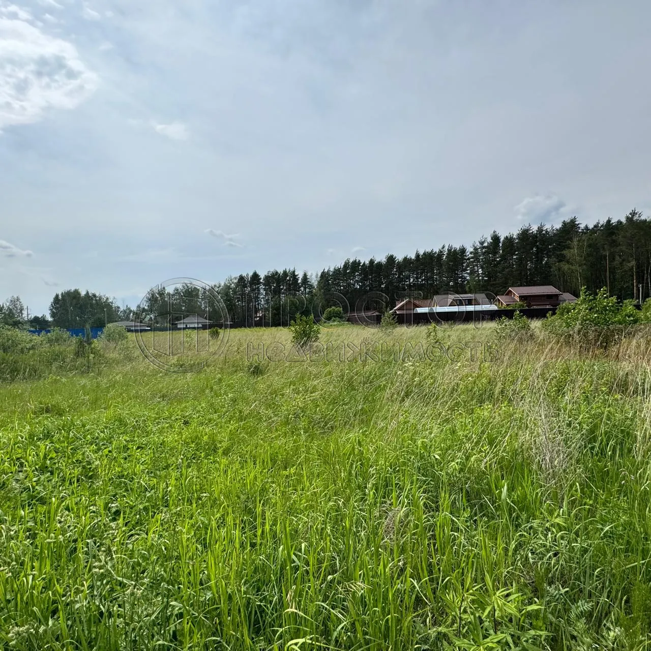 Участок, 20 сот. - фото 4