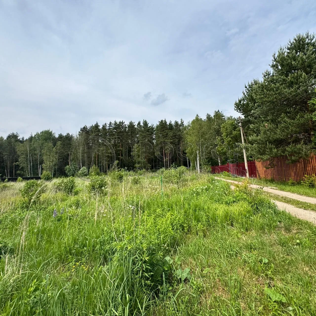 Участок, 20 сот. - фото 6