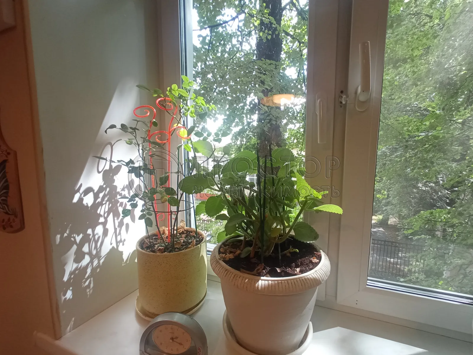 3-комнатная квартира, 56.7 м² - фото 4