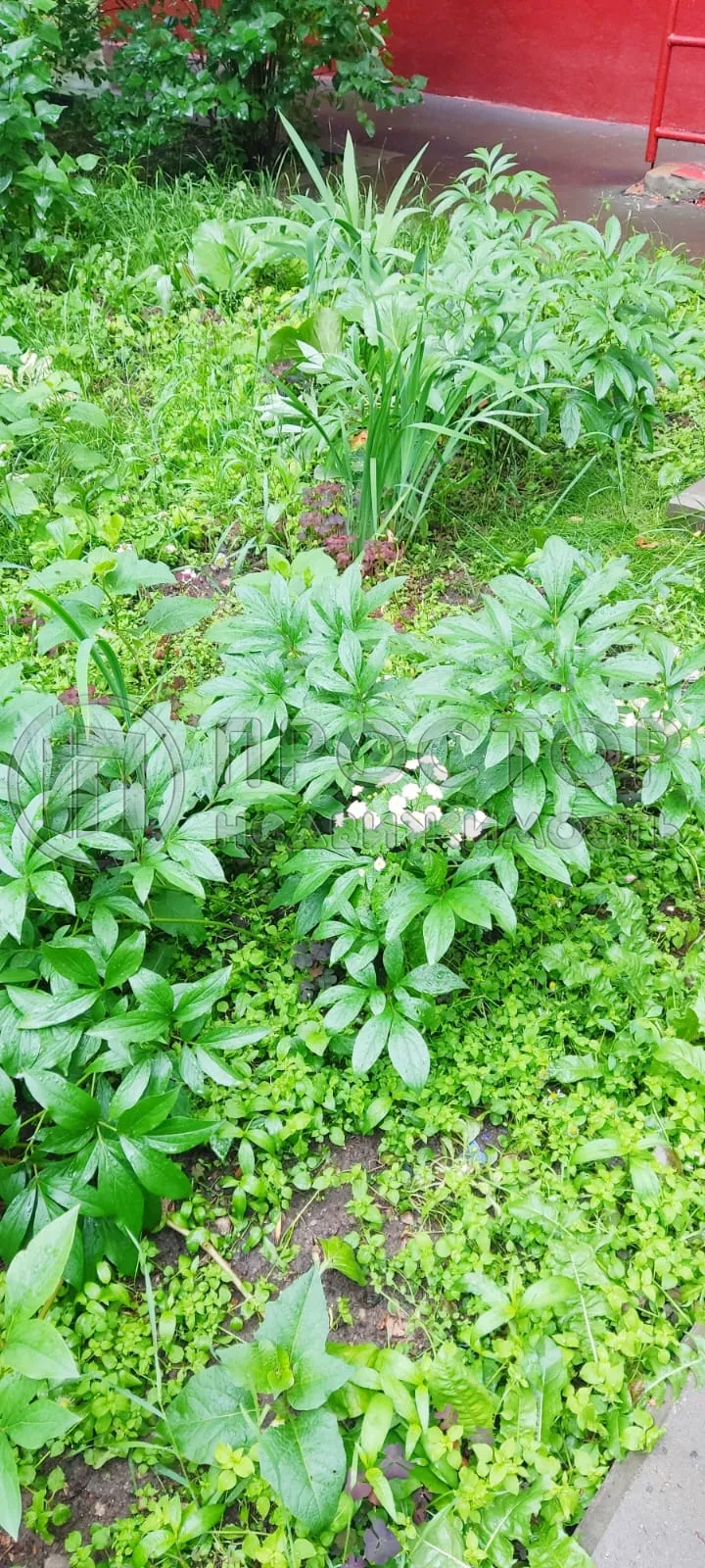 2-комнатная квартира, 39.4 м² - фото 3