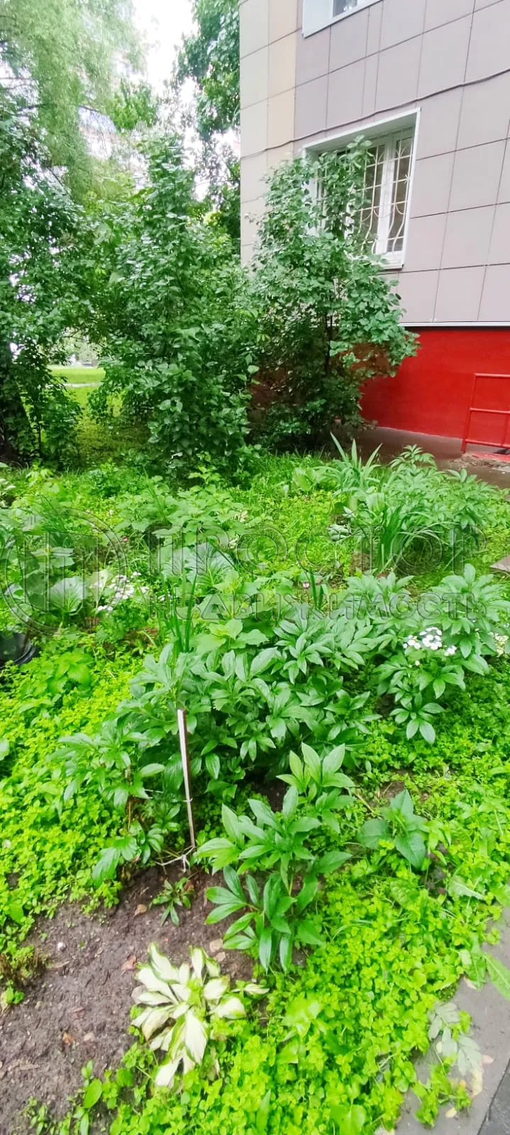 2-комнатная квартира, 39.4 м² - фото 5