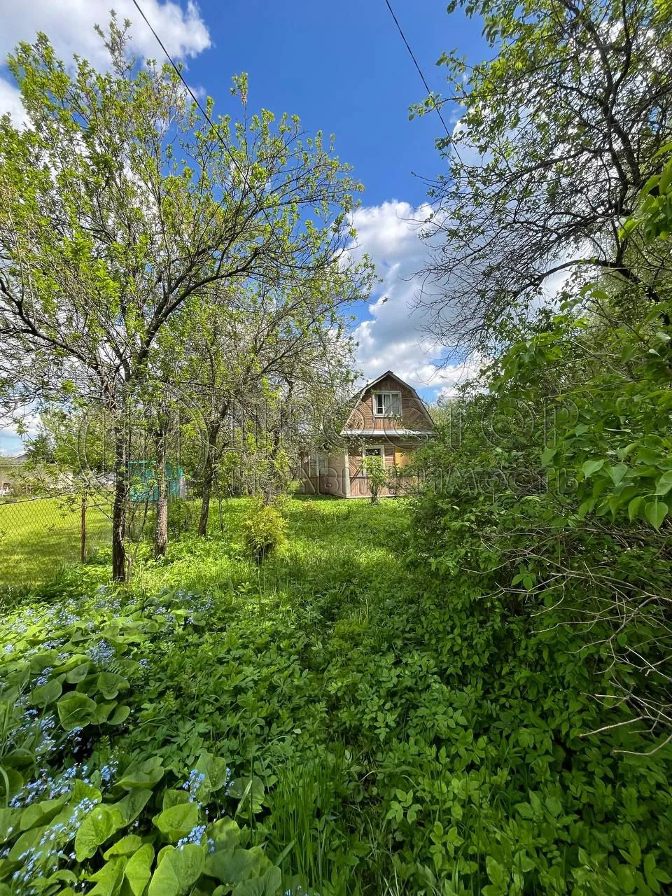 Участок, 8 сот. - фото 3