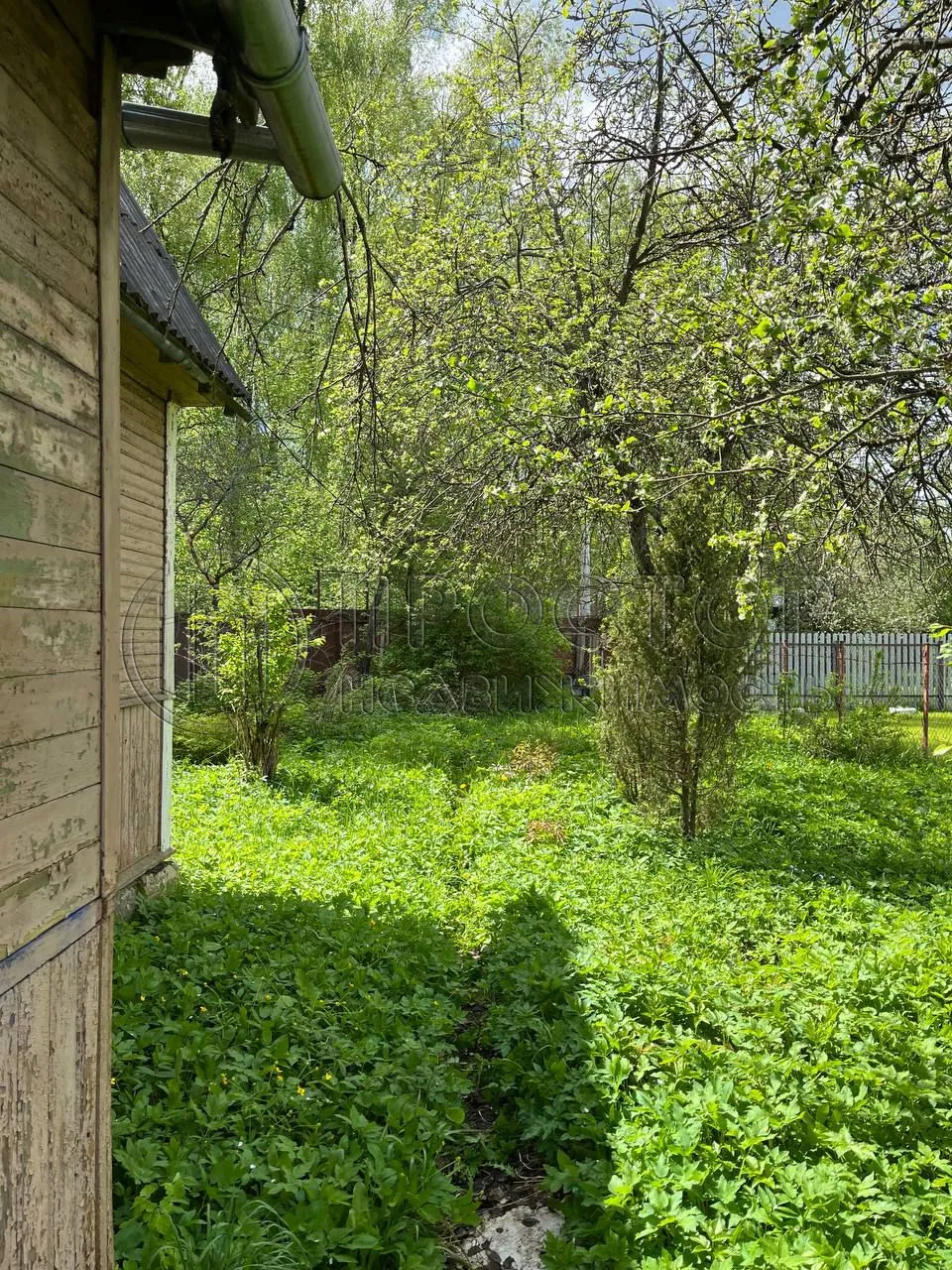 Участок, 8 сот. - фото 6