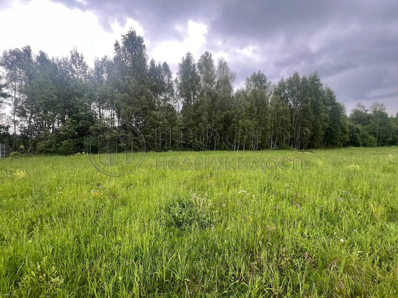 Участок, 16 сот. - фото 2