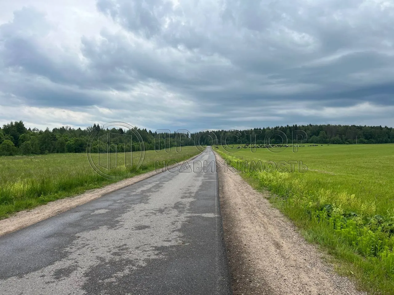 Участок, 16 сот. - фото 8