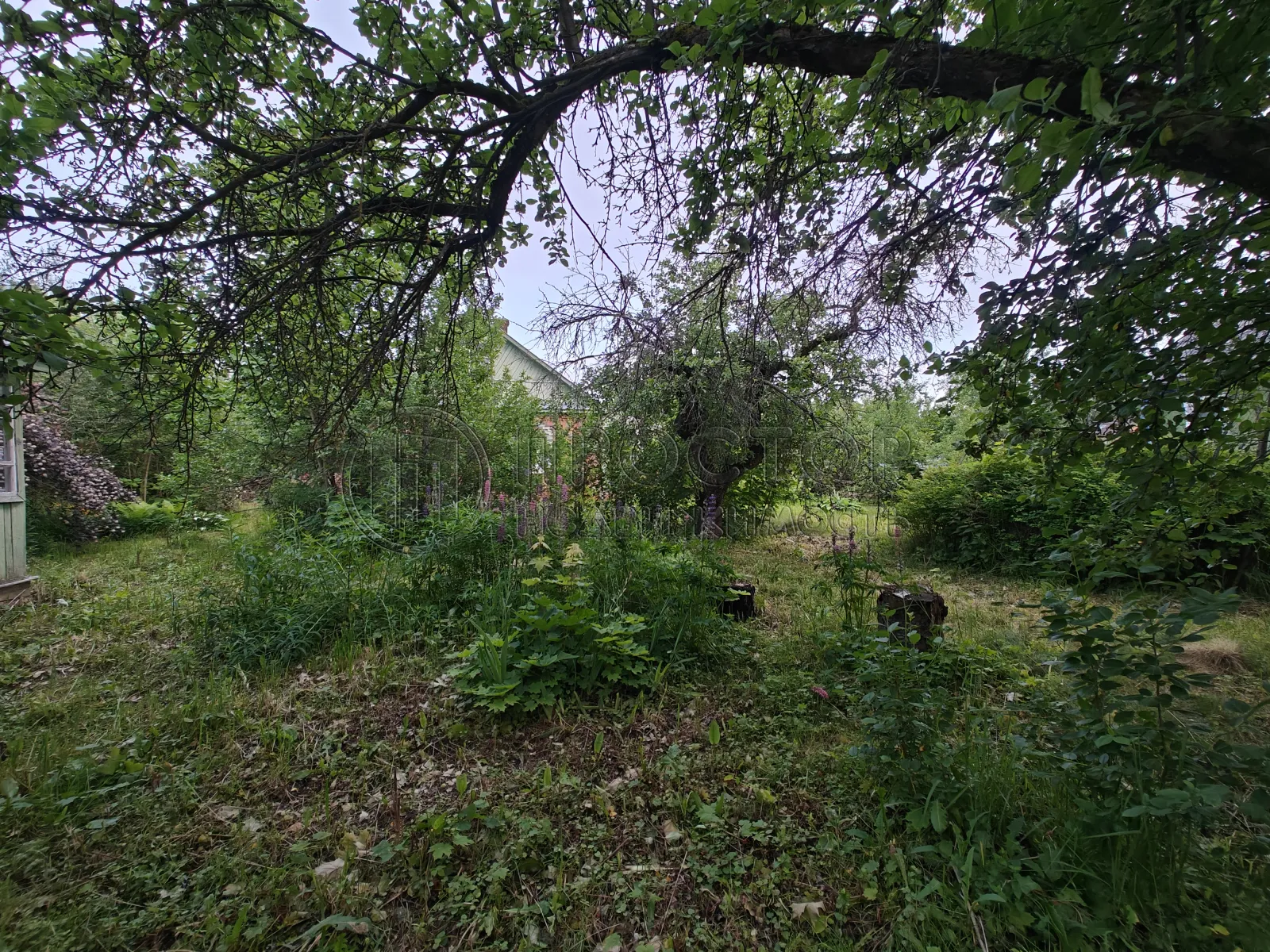 Участок, 19 сот. - фото 13