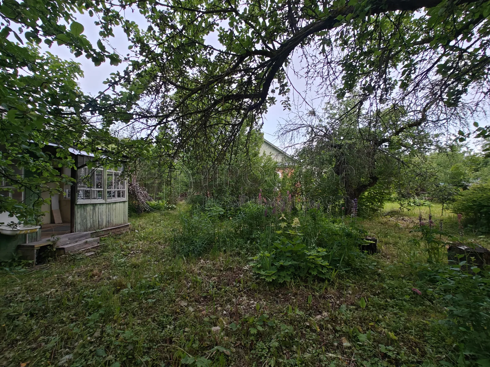 Участок, 19 сот. - фото 14