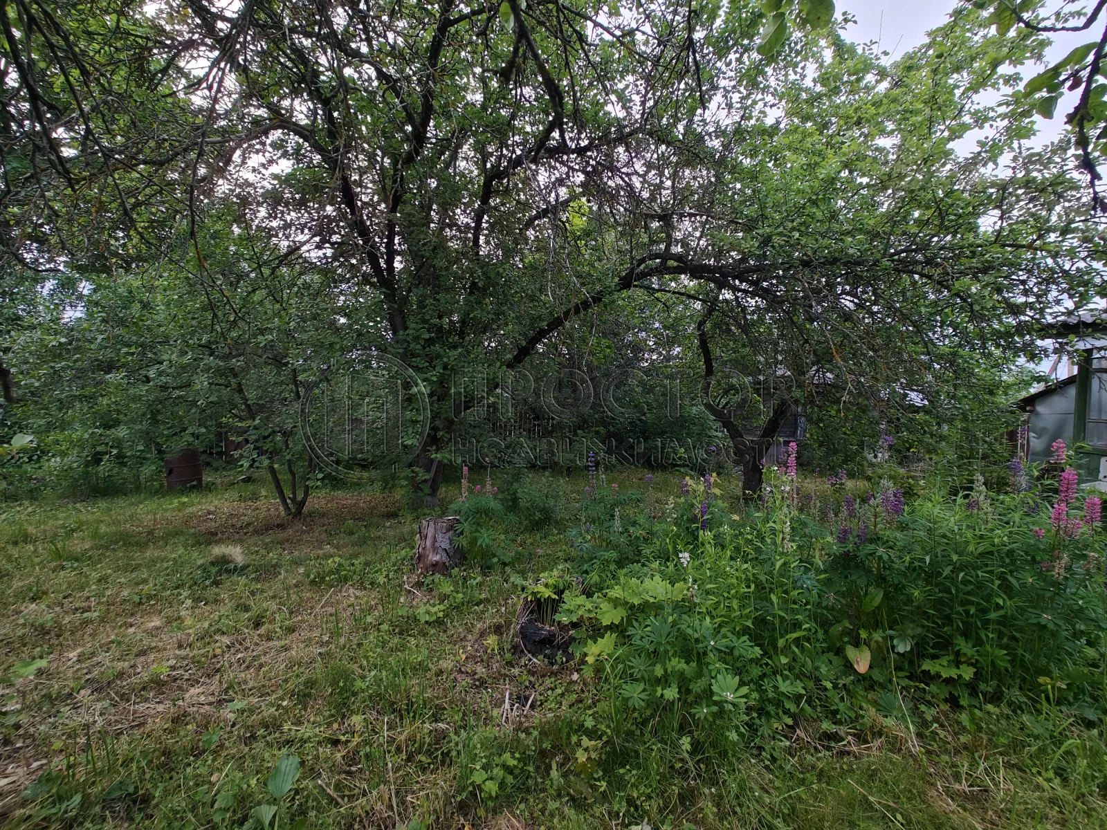 Участок, 19 сот. - фото 16