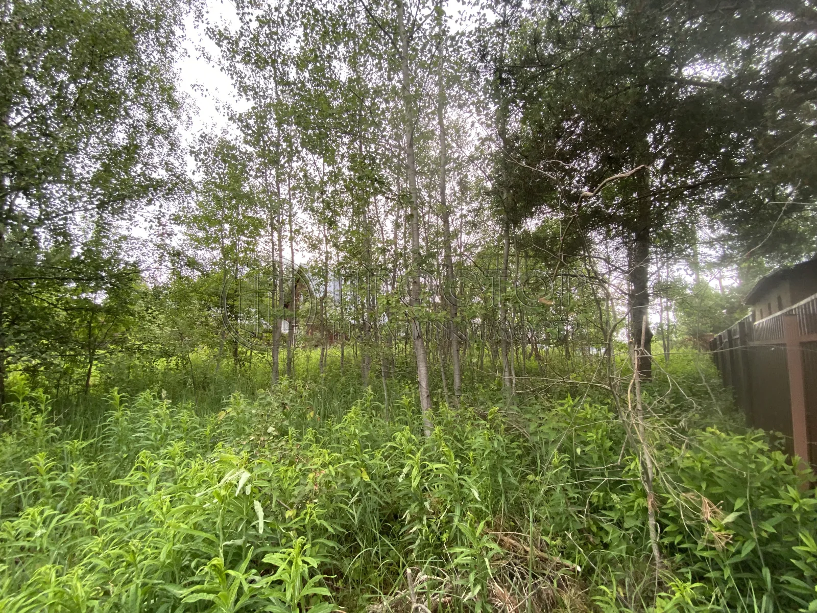 Участок, 6 сот. - фото 8