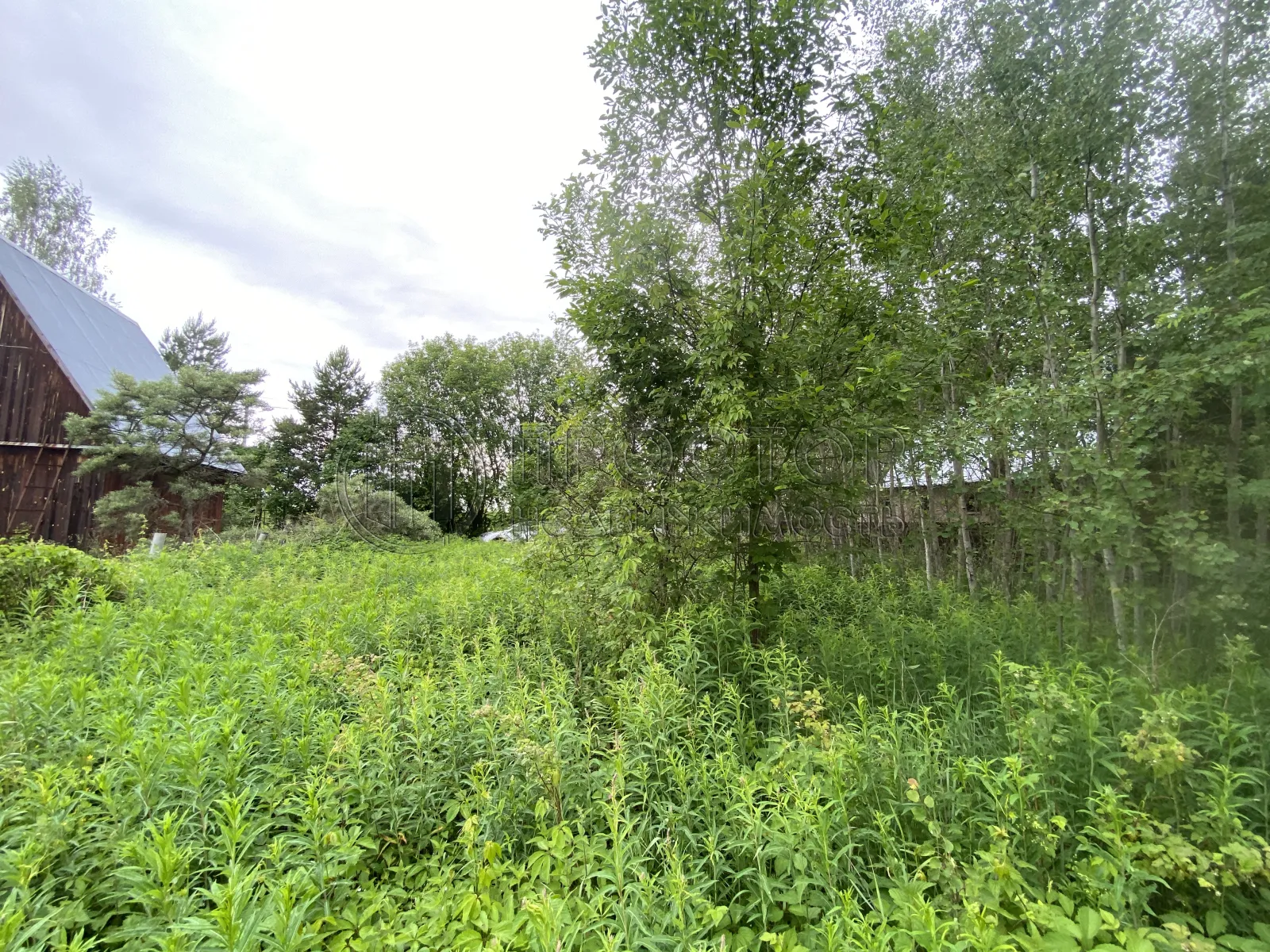 Участок, 6 сот. - фото 11