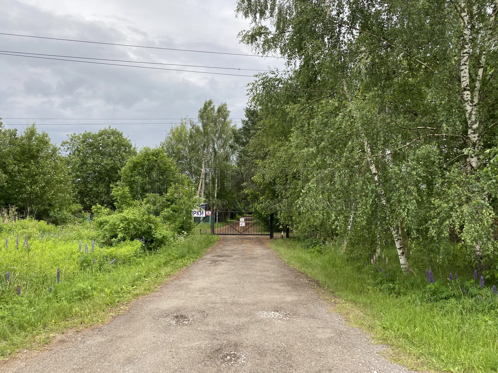 Участок, 6 сот. - фото 14