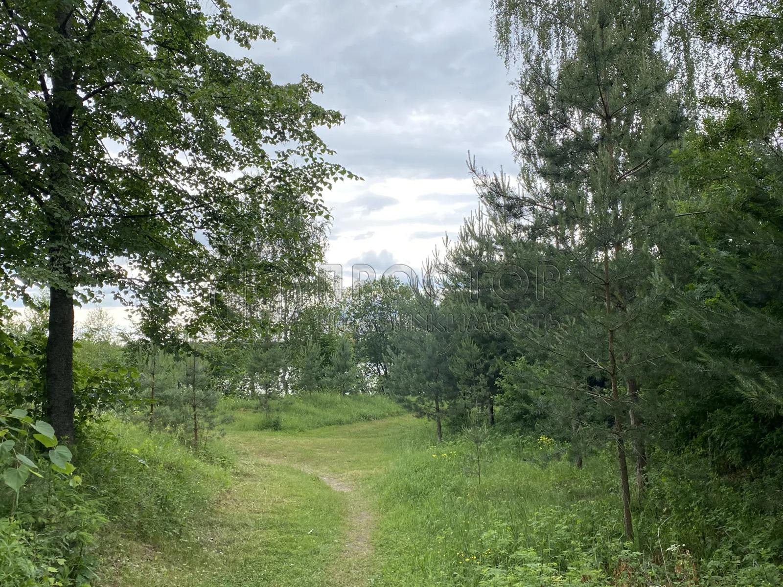 Участок, 6 сот. - фото 22