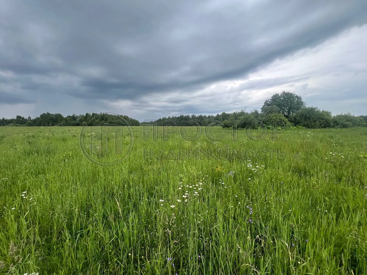 Участок, 8 сот. - фото 5