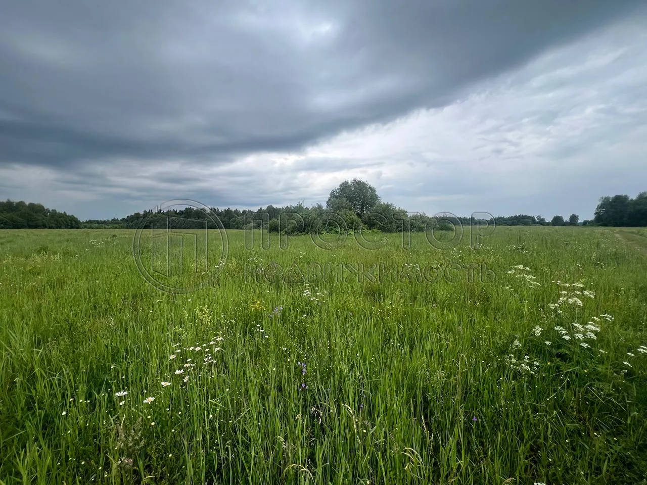 Участок, 8 сот. - фото 6